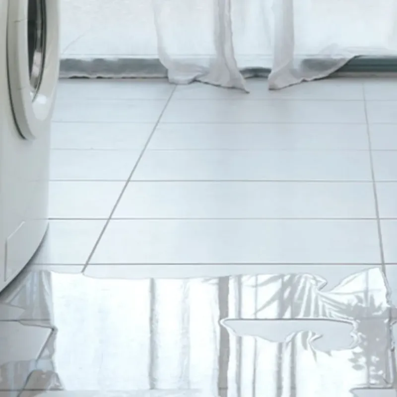 Appliance Leak Cleanup in Meadow Woods, FL