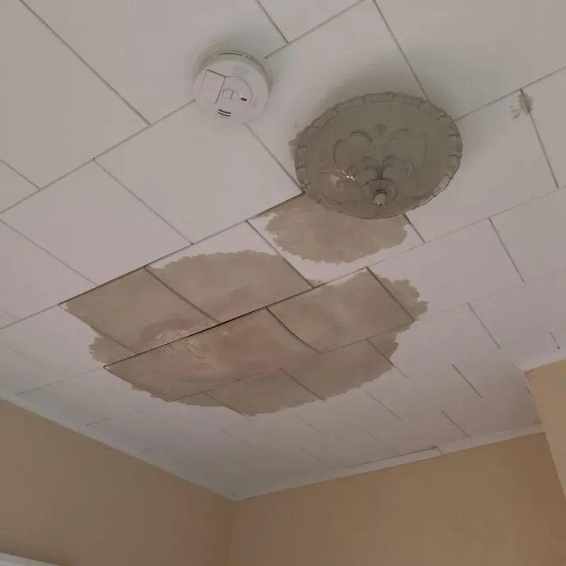 Ceiling Water Damage Repair in Meadow Woods, FL